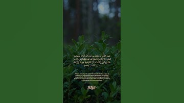 165 سورة البقرة: التلاوة المعبرة مع الترجمة الإنجليزية #quranictranslation #اكسبلور  #راحة_نفسية