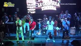 Video thumbnail of "LO QUE ME HACES SENTIR  (ESTRENO) || LA TIMBA CRIOLLA || RUMBA DE MR.SWING EN MAKUMBA || 2015"