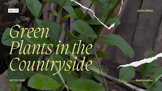 Download Lagu Best of Lagu Bali Viral – Top 10 Hits Pop Bali Sepanjang Tahun MP3