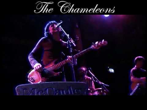 The Chameleons - Pleasure and Pain