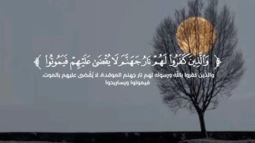 سورة: فاطر الآية /29-44/القارئ: موسى الحمادي