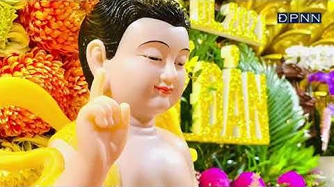 TĂNG ĐOÀN CHÙA GIÁC NGỘ LẠY VẠN PHẬT MÙA AN CƯ KIẾT HẠ tại Chùa Giác Ngộ  24/12/2024.