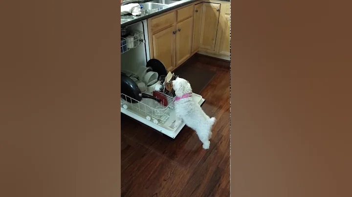 Who needs a dishwasher! :-)