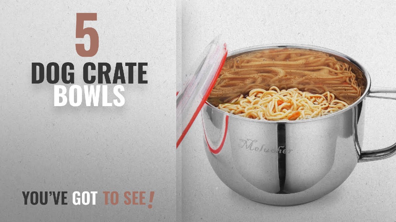 Best Dog Crate Bowls [2018] Stainless Steel Ramen Noodle Soup Pasta