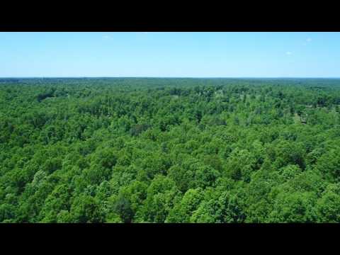Drone Video Tract 15 at Turkey Hollow - InstantAcres.Com - Missouri Ozarks - ID#TH15