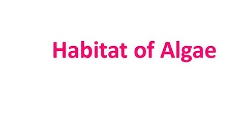 HABITAT OF ALGAE EXPLAINED //AQUATIC,TERRESTIAL OR UNSUAL ALGAE