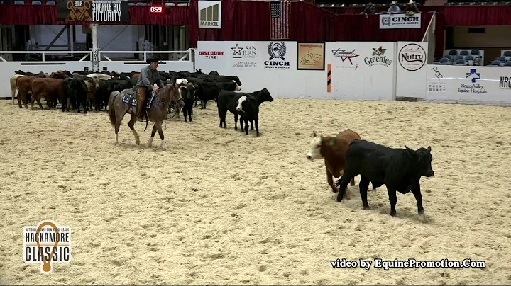 Metallic Boon ridden by Mark A. Sigler  - 2018 Sna...