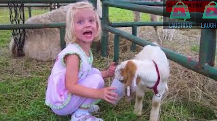 TRY NOT TO LAUGH | Funny Babies At The Zoo - LAUGH TRIGGER