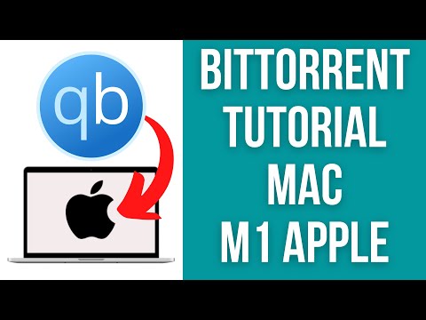 ვიდეო: 5 გზა MacBook Air მონიტორთან დასაკავშირებლად