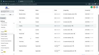 How to Use Tags, Custom Fields, and Custom Values to Segment and Store Contact Info in Zappify.io