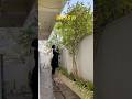Day 9 & 10 in warangal #minivlog #home #newbeginnings