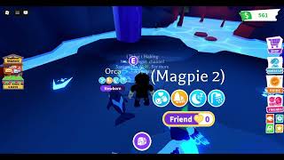 Neon Magpie And Mega Neon Magpie