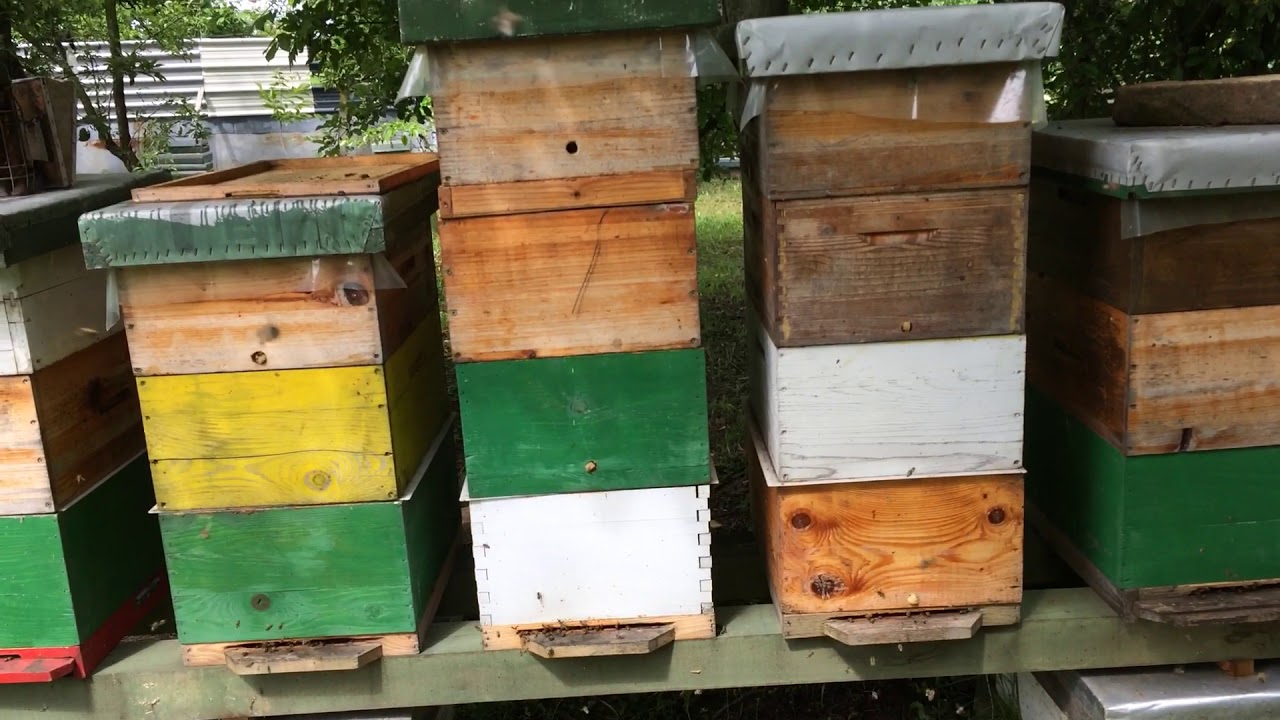 TAJNA spajanja mladi MATICA. 28.05.2019.