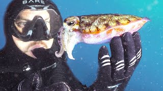 Holding a Cuttlefish! Scuba Diver's Rare Underwater Encounter