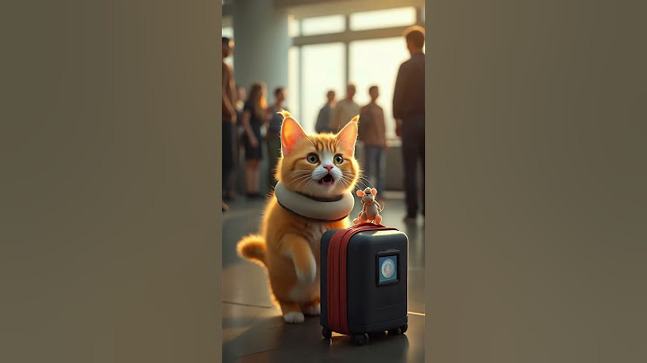 Adorable Cat at the Airport – The Perfect Travel Buddy! #cat #aeroplane #catlovers #travel #shorts