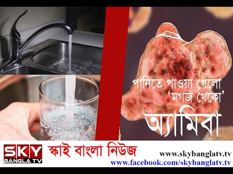 ভিডিও: আপনি সিউডোপোডিয়াম কোথায় পাবেন?