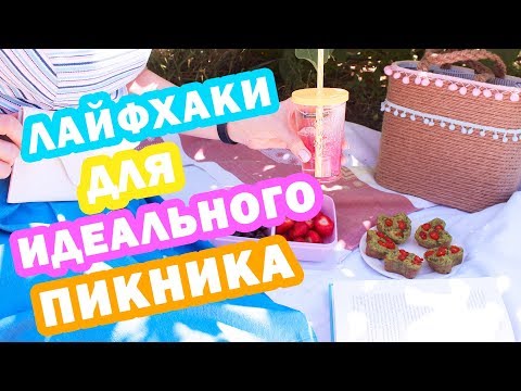 Video: Kako organizirati piknik z majhnim otrokom