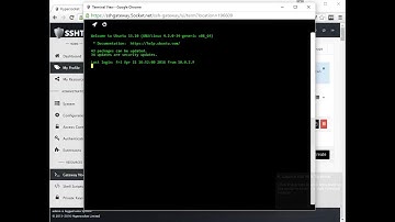 SSH Gateway - Creating a node and launching a Web Terminal