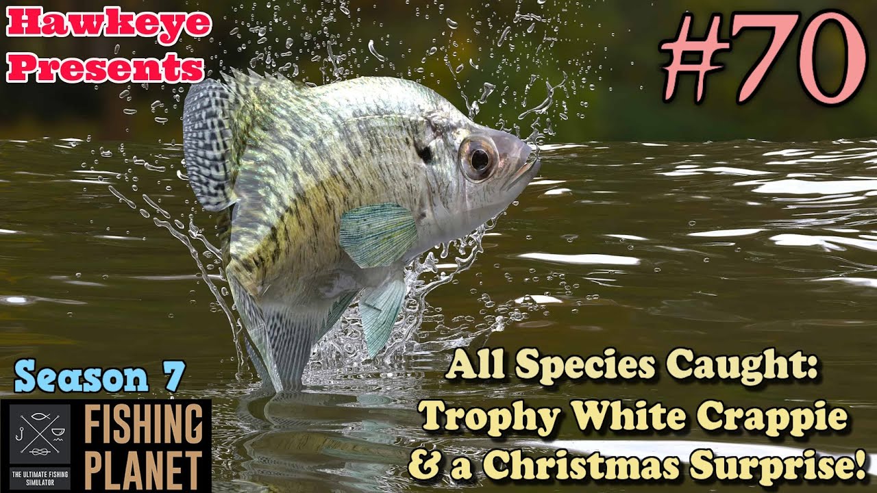 Fishing Planet #70 - S7 - Trophy White Crappie & a Christmas Surprise! [All  Mudwater River Species] 