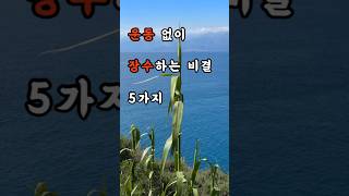 운동 없이도 10년 더 건강하게 #영감을주는이야기 #감성글귀 #명언