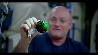 Floating Spheres of Liquid in Zero Gravity Mesmerizing Space Water Bubbles.