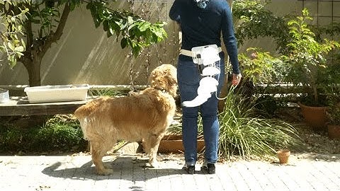 Animatronic Tail by circuito.io