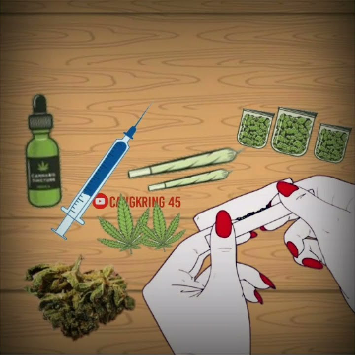 video viral story wa animasi LINTING DAUN