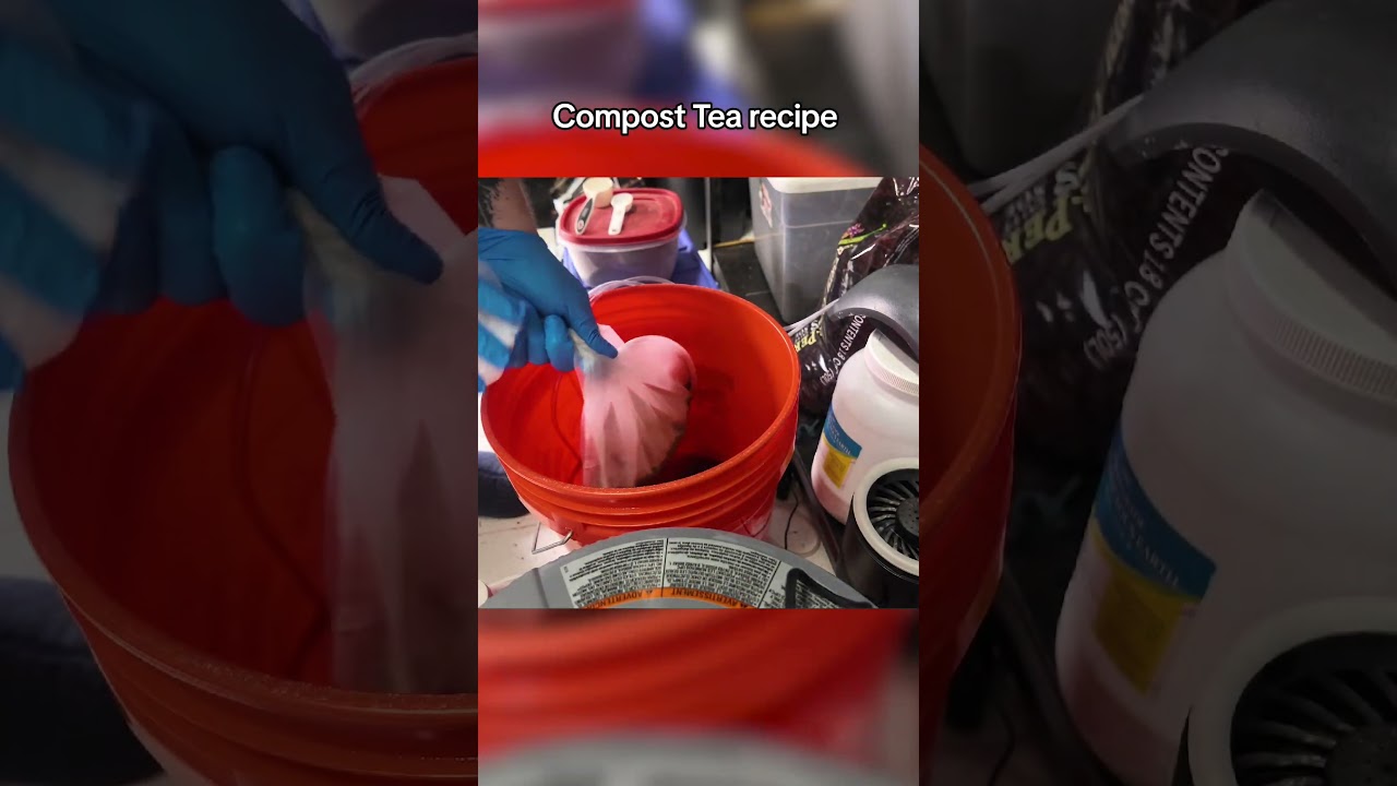 check out the main channel to see the full grow log 