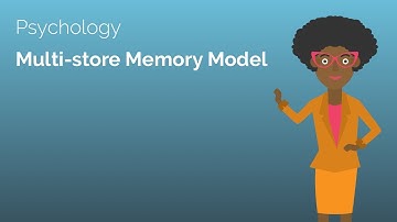 Multi-store Memory Model - A-level Psychology Revision Video - Study Rocket