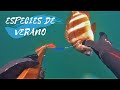 Pesca Submarina: Especies de VERANO