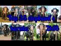 Top 35 elephants in kerala 2k18