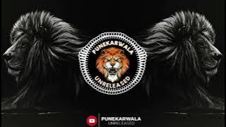 Jungle Mein Sher ||  Remix || Dj Ayush X Dj Pranil || AP Brothers || Punekarwala Unreleased