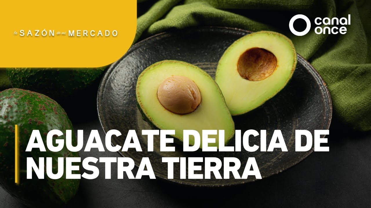 La sazón de mi mercado - Aguacate, delicia de nuestra tierra (29/05/2025)