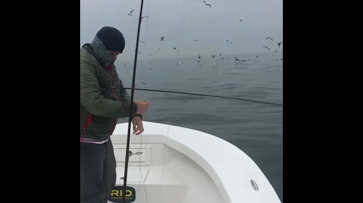 Bass on Peanuts