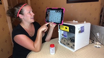 AAC modelling hand rearing baby hedgehogs using Tobii Dynavox Snap Core First