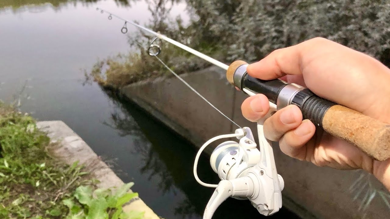 中流の川で蟹と小魚釣り