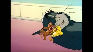 Tom and Jerry, 34 Episode   Kitty Foiled 1948