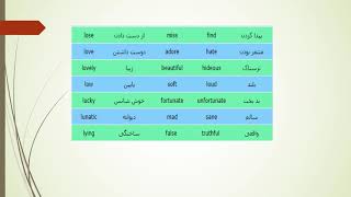 مترادف و متضاد - Synonyms and Antonyms screenshot 4