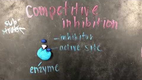 Enzymes: Stop Motion