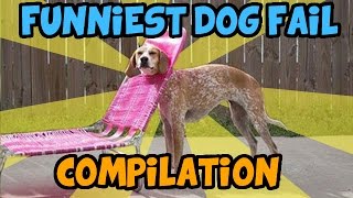 BEST DOG FAIL COMPILATION by TubeSpaghetti 6,856 views 9 years ago 3 minutes, 13 seconds
