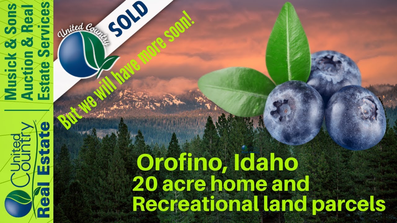 SOLD! New Mountain properties for sale Orofino, Idaho YouTube