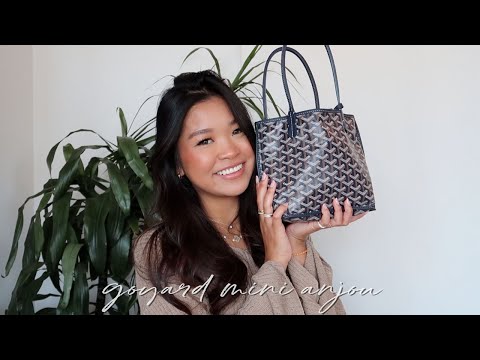 GOYARD ANJOU MINI REVIEW  WEAR AND TEAR #goyard #minianjou