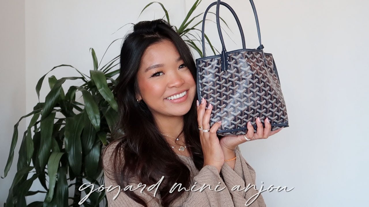 The Goyard Anjou Bag