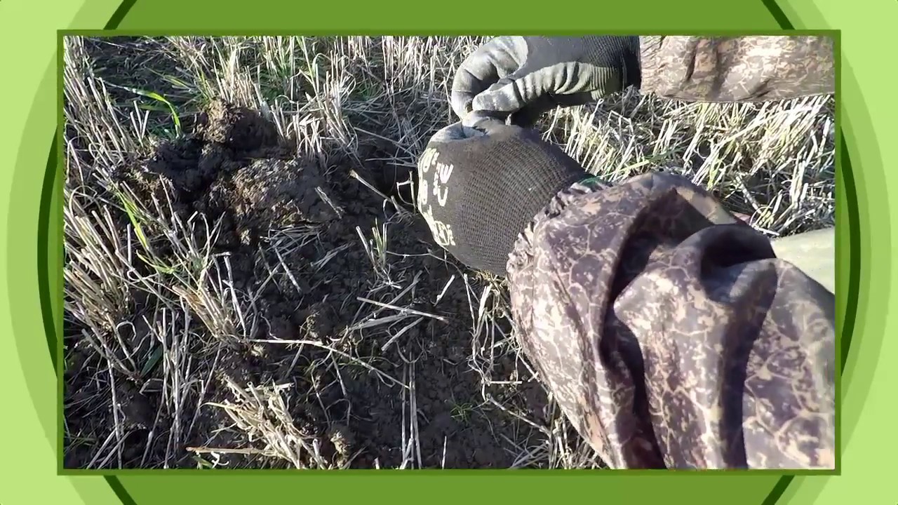 Falkirk Detect - Go Pro Hero 5 testing - Saturday hunt