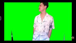 GREEN SCREEN ERPAN 1140 KAGET