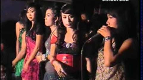 1 cinderella group do