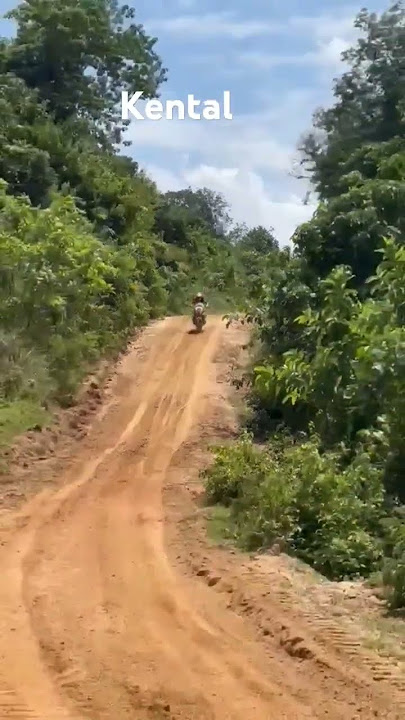Rimba raid 2024