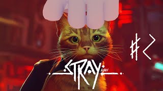 【Stray】ﾈﾁｺｬﾝ ｶﾜｲｲﾈ【#2】
