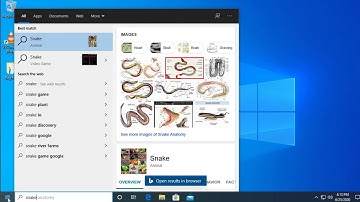 Windows 10 disable Bing search