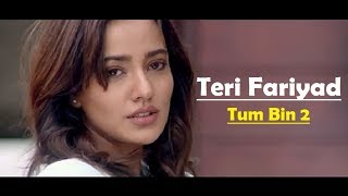 teri-fariyad-tum-bin-2-lyrics-translation-jagjit-singh-rekha-bhardwaj